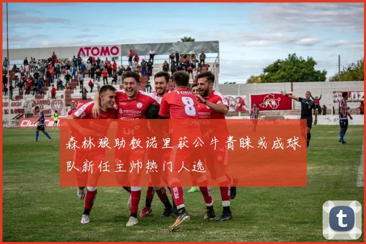 森林狼助教诺里获公牛青睐或成球队新任主帅热门人选